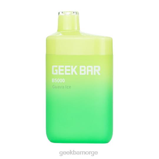 b5000 engangs guava is - GEEK BAR Europe Geek Bar 8H8RR29